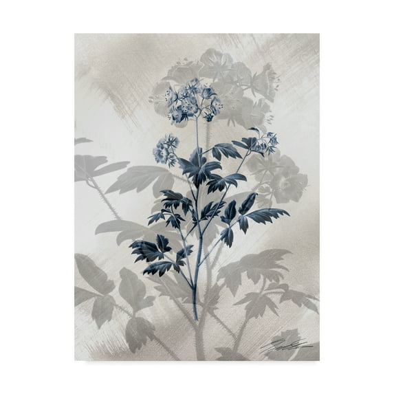 Trademark Fine Art 'Indigo Bloom II' Canvas Art by John Butler