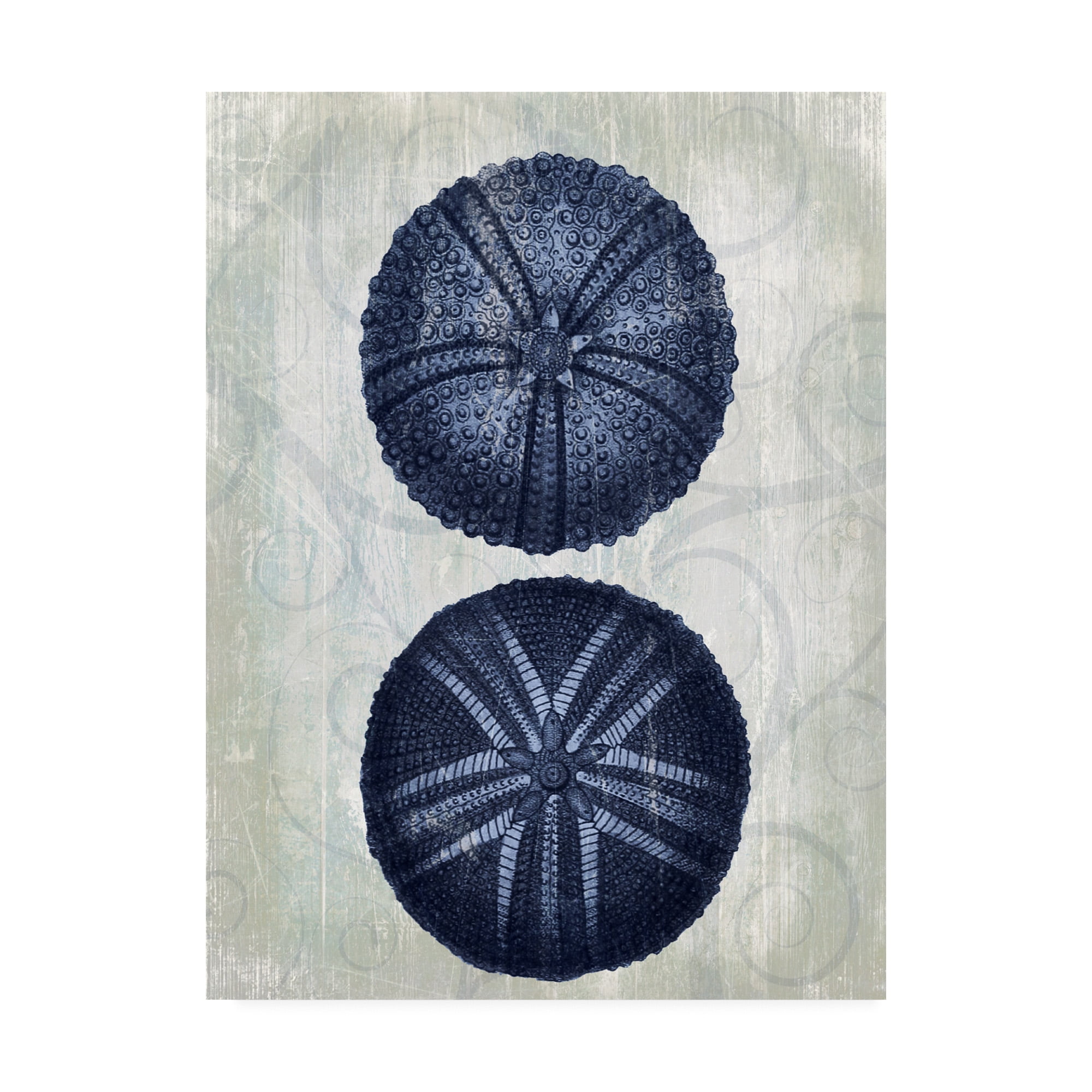 Trademark Fine Art 'Indigo Blue Sea Urchins a' Canvas Art by Fab Funky