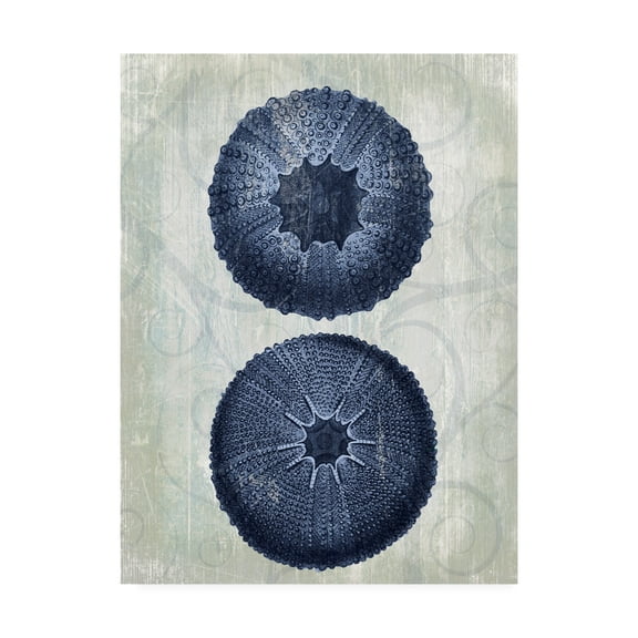 Trademark Fine Art 'Indigo Blue Sea Urchins b' Canvas Art by Fab Funky