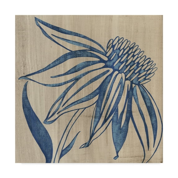 Trademark Fine Art 'Indigo Coneflower' Canvas Art by Chariklia Zarris