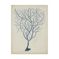 Trademark Fine Art 'Indigo Coral III' Canvas Art by Vision Studio