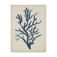 thumbnail image 1 of Trademark Fine Art 'Indigo Coral IV' Canvas Art by Vision Studio, 1 of 4