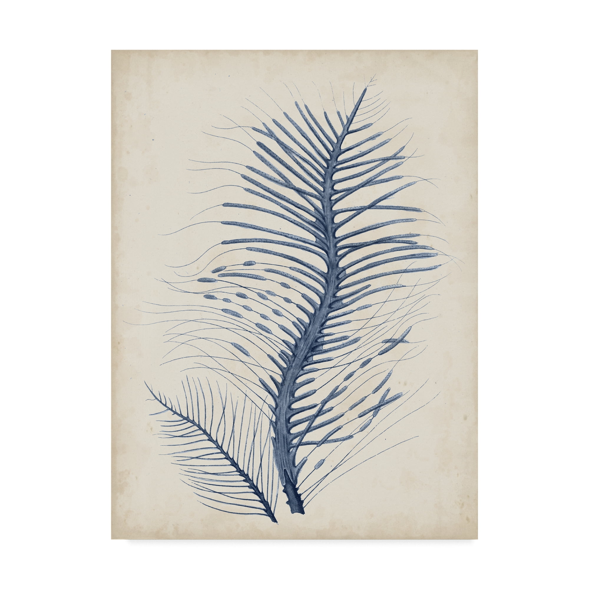 Trademark Fine Art 'Indigo Coral V' Canvas Art by Vision Studio