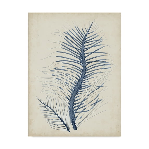 Trademark Fine Art 'Indigo Coral V' Canvas Art by Vision Studio