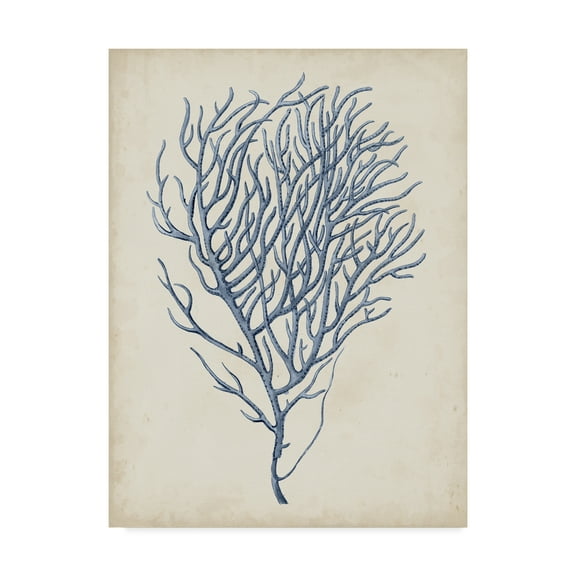 Trademark Fine Art 'Indigo Coral VI' Canvas Art by Vision Studio