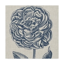 Trademark Fine Art 'Indigo Floral on Linen V' Canvas Art by Vision Studio