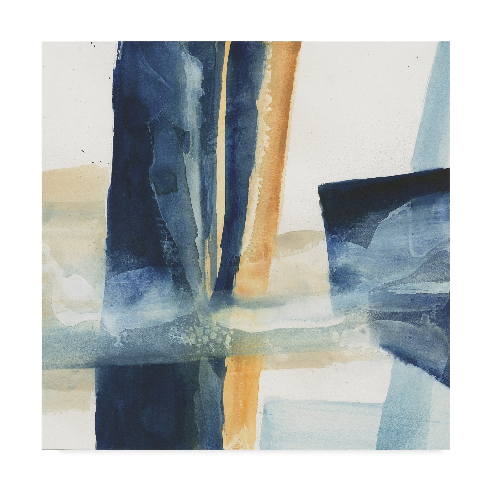 Trademark Fine Art 'Indigo IV' Canvas Art by Chris Paschke