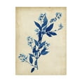 thumbnail image 1 of Trademark Fine Art 'Indigo Leaf Study I' Canvas Art by Vision Studio, 1 of 4