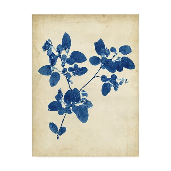 Trademark Fine Art 'Indigo Leaf Study V' Canvas Art by Vision Studio