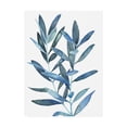 thumbnail image 1 of Trademark Fine Art 'Indigo Leaves III' Canvas Art by Megan Meagher, 1 of 4