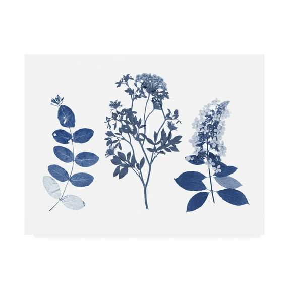 Trademark Fine Art 'Indigo Pressed Florals I' Canvas Art by Studio W