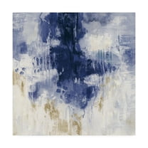 Trademark Fine Art 'Indigo Rain' Canvas Art by Silvia Vassileva