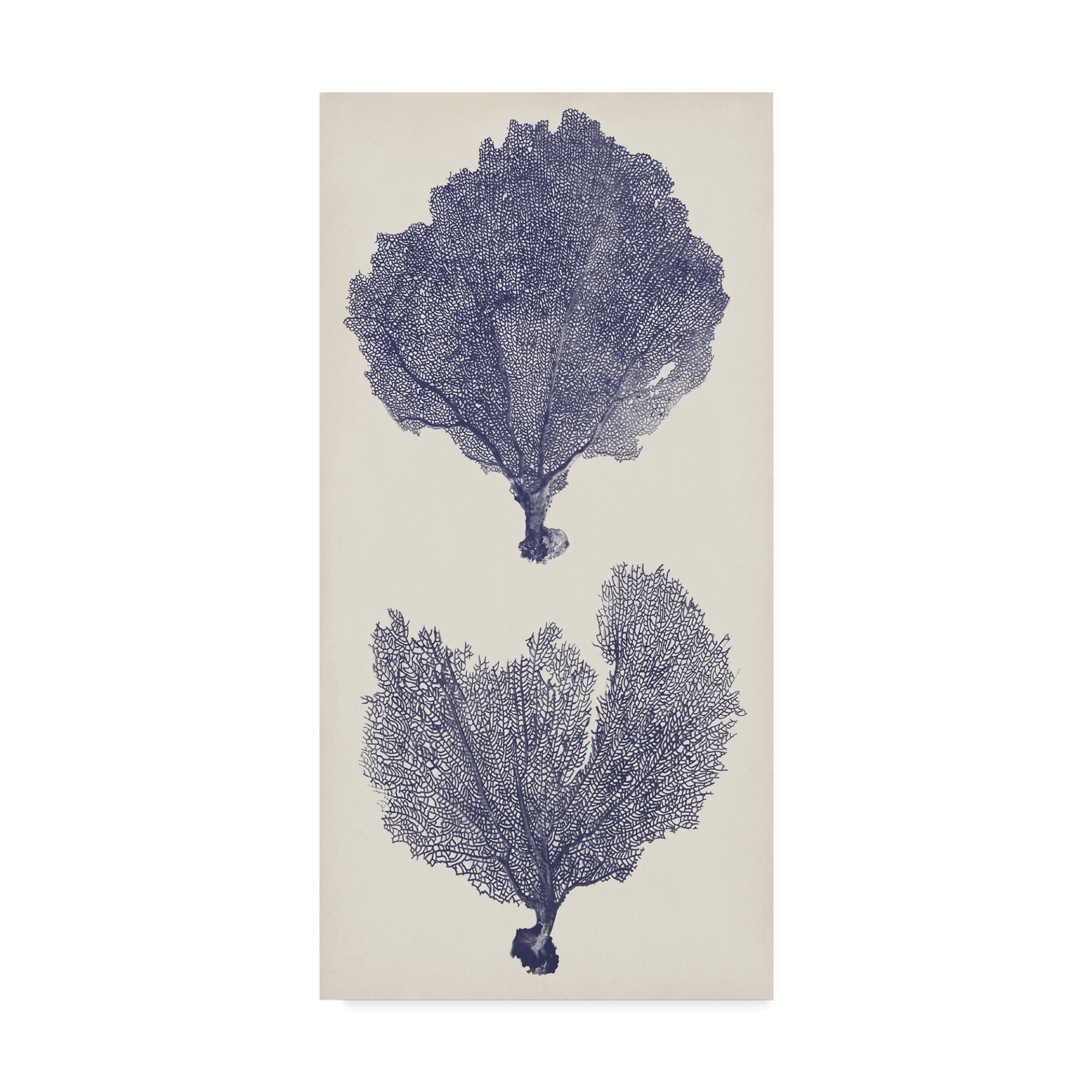 Trademark Fine Art 'Indigo Seafans II' Canvas Art by Vision Studio