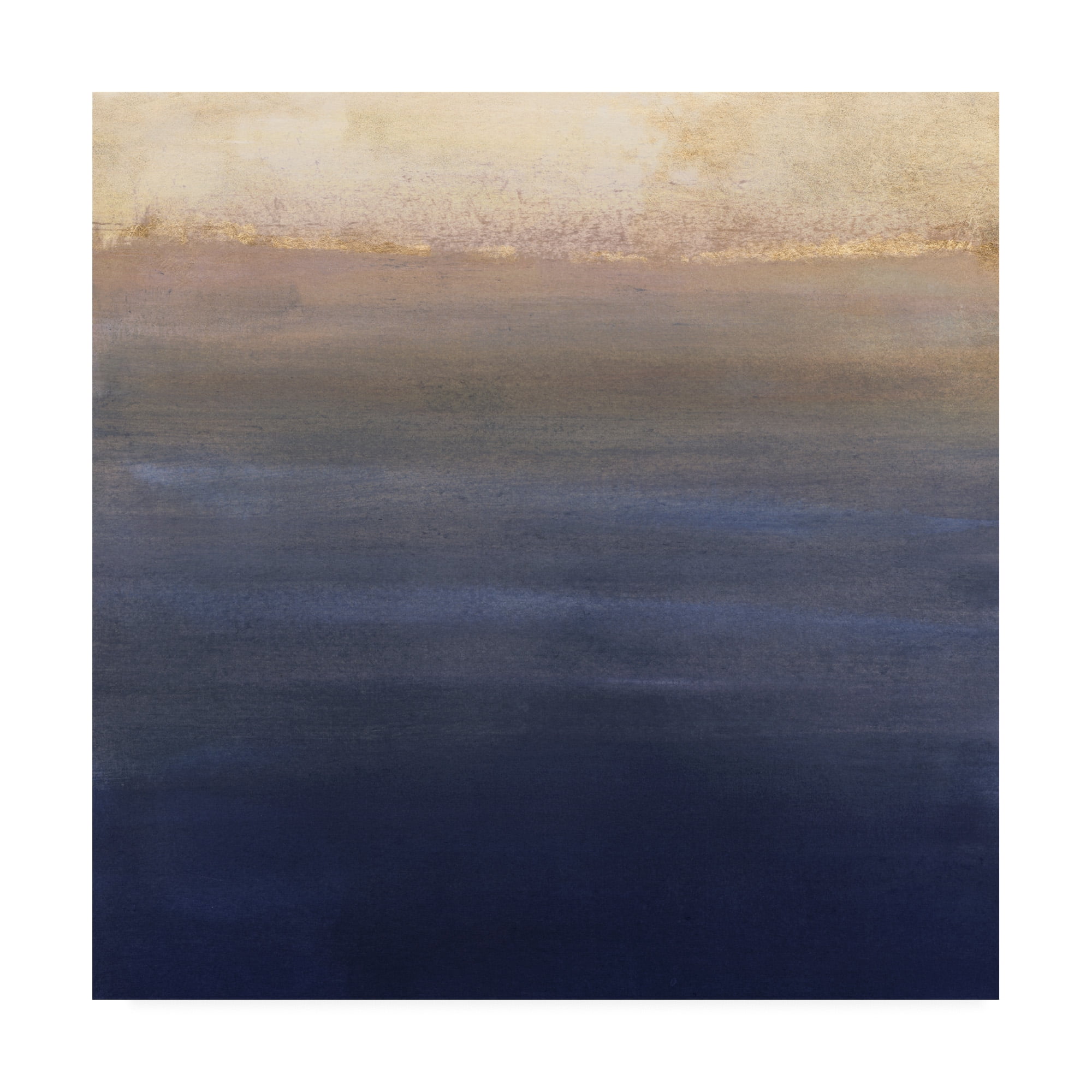 Trademark Fine Art 'Indigo Sundown II' Canvas Art by Victoria Borges