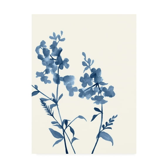 Trademark Fine Art 'Indigo Wildflowers IV' Canvas Art by Jennifer Goldberger