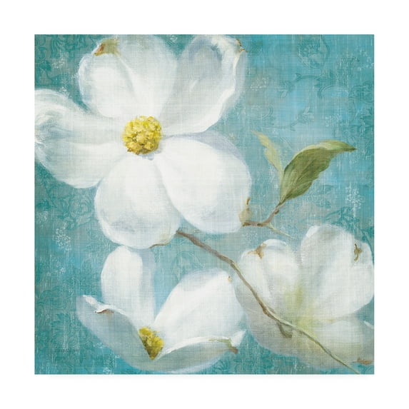 Trademark Fine Art 'Indiness Blossom Square Vintage IV' Canvas Art by Danhui Nai