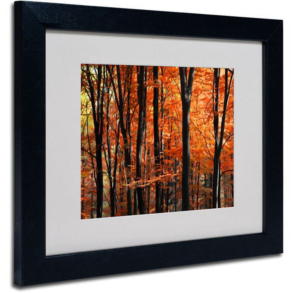 Trademark Fine Art "Indisputable Truth" Canvas Art by Philippe Sainte-Laudy, Black Frame