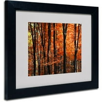 Trademark Fine Art "Indisputable Truth" Canvas Art by Philippe Sainte-Laudy, Black Frame