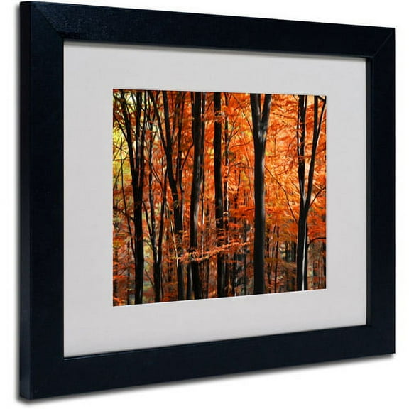 Trademark Fine Art "Indisputable Truth" Canvas Art by Philippe Sainte-Laudy, Black Frame