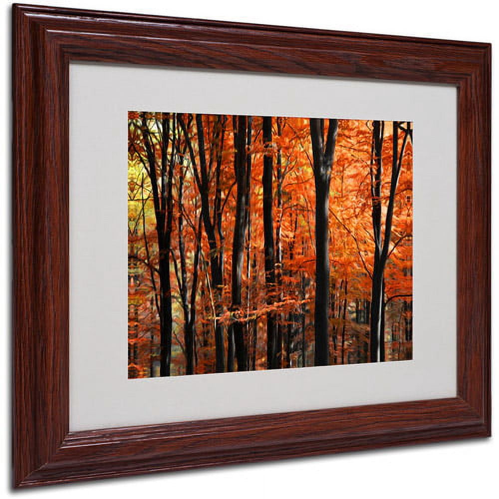 Trademark Fine Art "Indisputable Truth" Canvas Art by Philippe Sainte-Laudy, Wood Frame