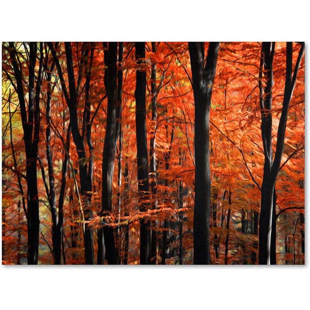 Trademark Fine Art "Indisputable Truth" Canvas Art by Philippe Sainte-Laudy