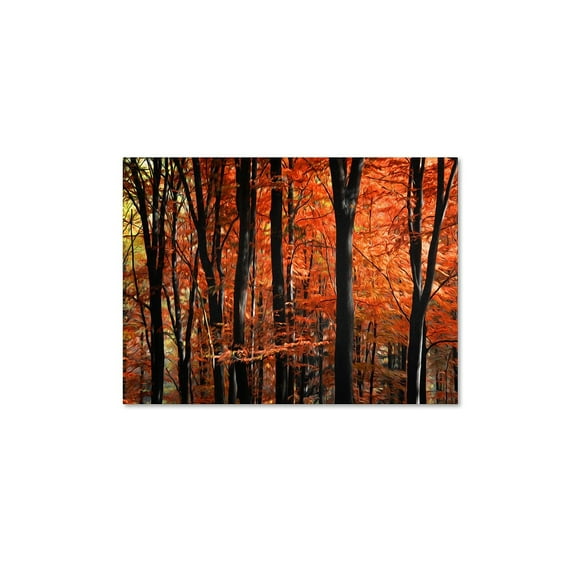 Trademark Fine Art "Indisputable Truth" Canvas Art by Philippe Sainte-Laudy