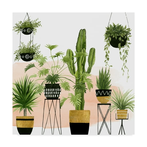 Trademark Fine Art 'Indoor Oasis I' Canvas Art by Grace Popp