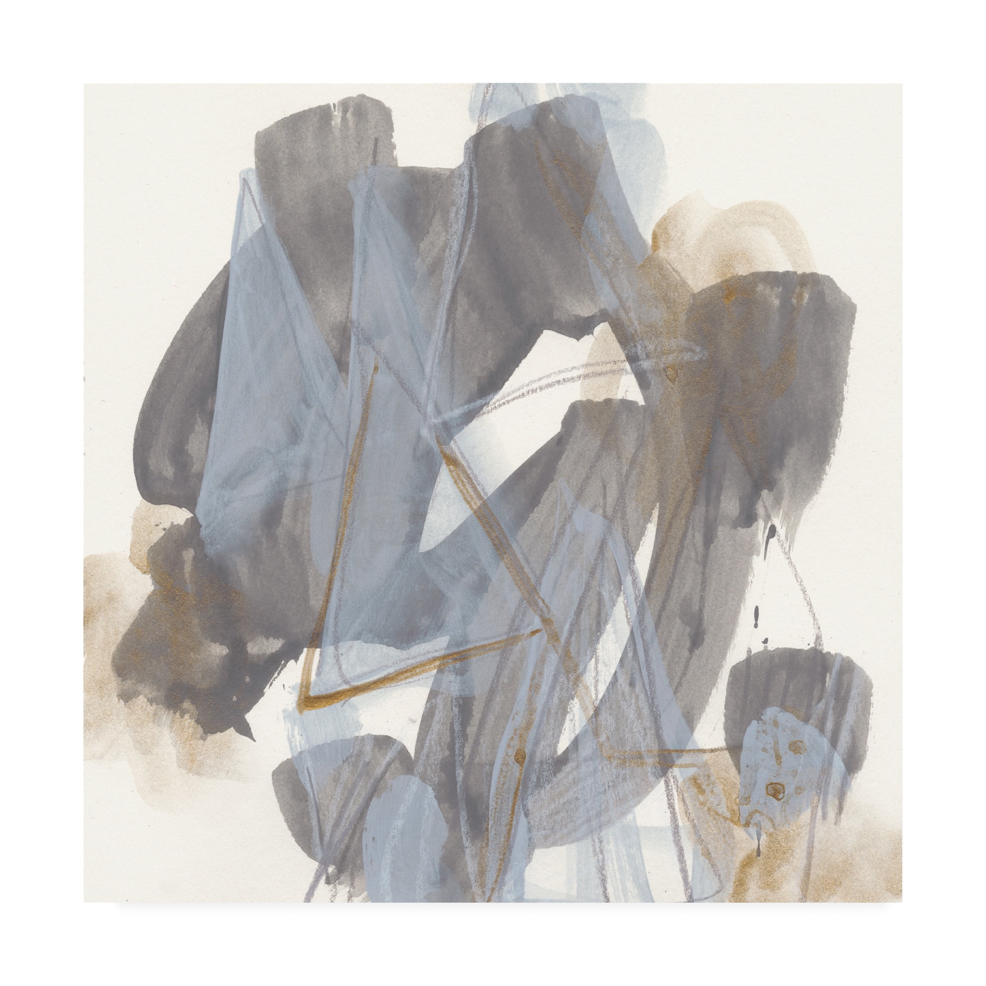 Trademark Fine Art 'Inference Ix' Canvas Art by June Erica Vess