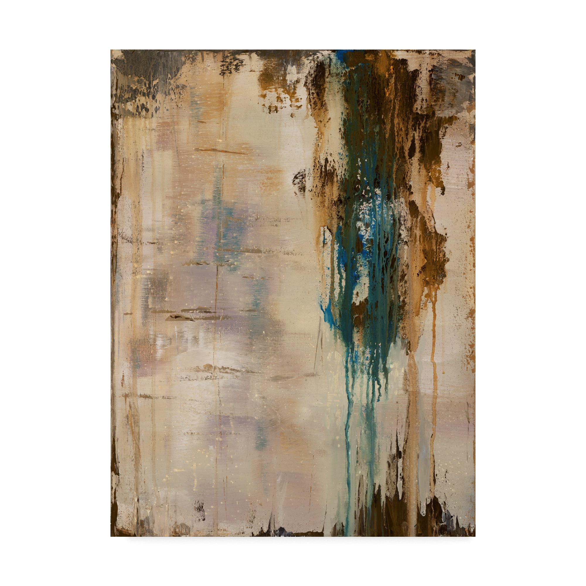 Trademark Fine Art 'Infinite Time I' Canvas Art by Julie Joy