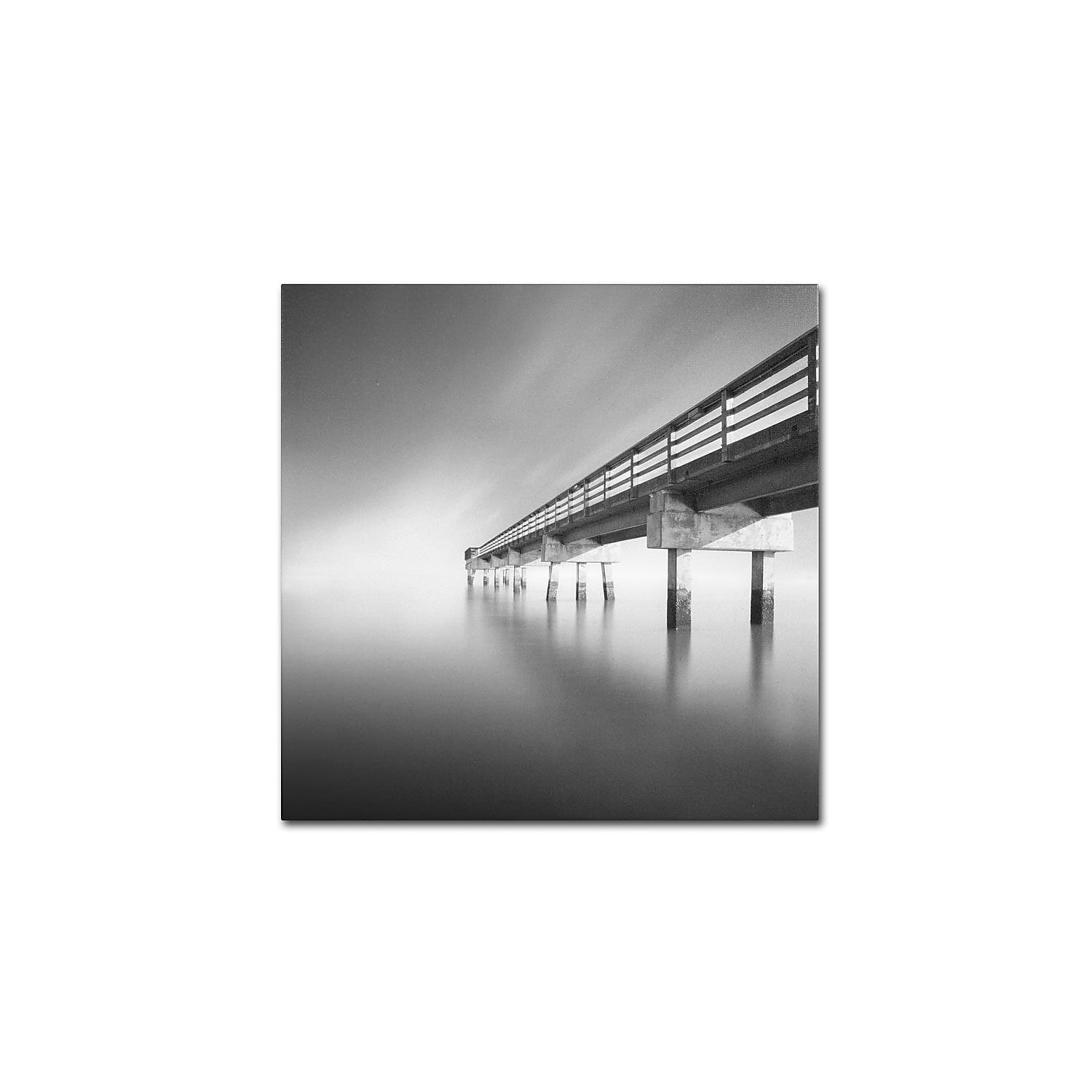 Trademark Fine Art "Infinity" Canvas Art by Moises Levy