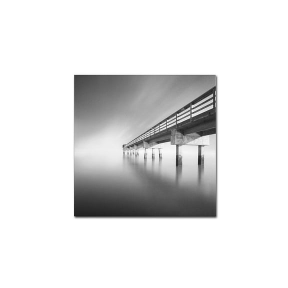 Trademark Fine Art "Infinity" Canvas Art by Moises Levy