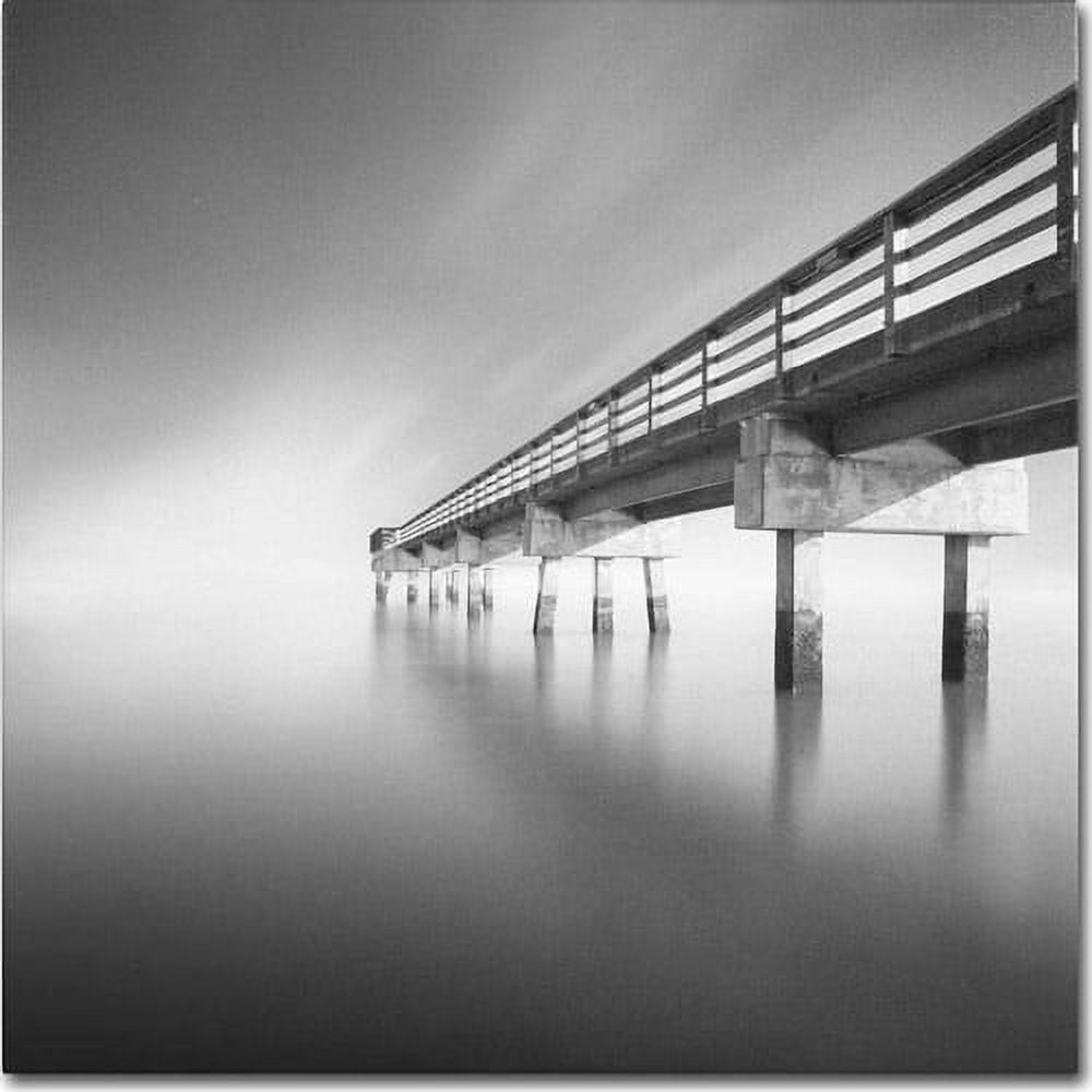 Trademark Fine Art "Infinity" Canvas Art by Moises Levy