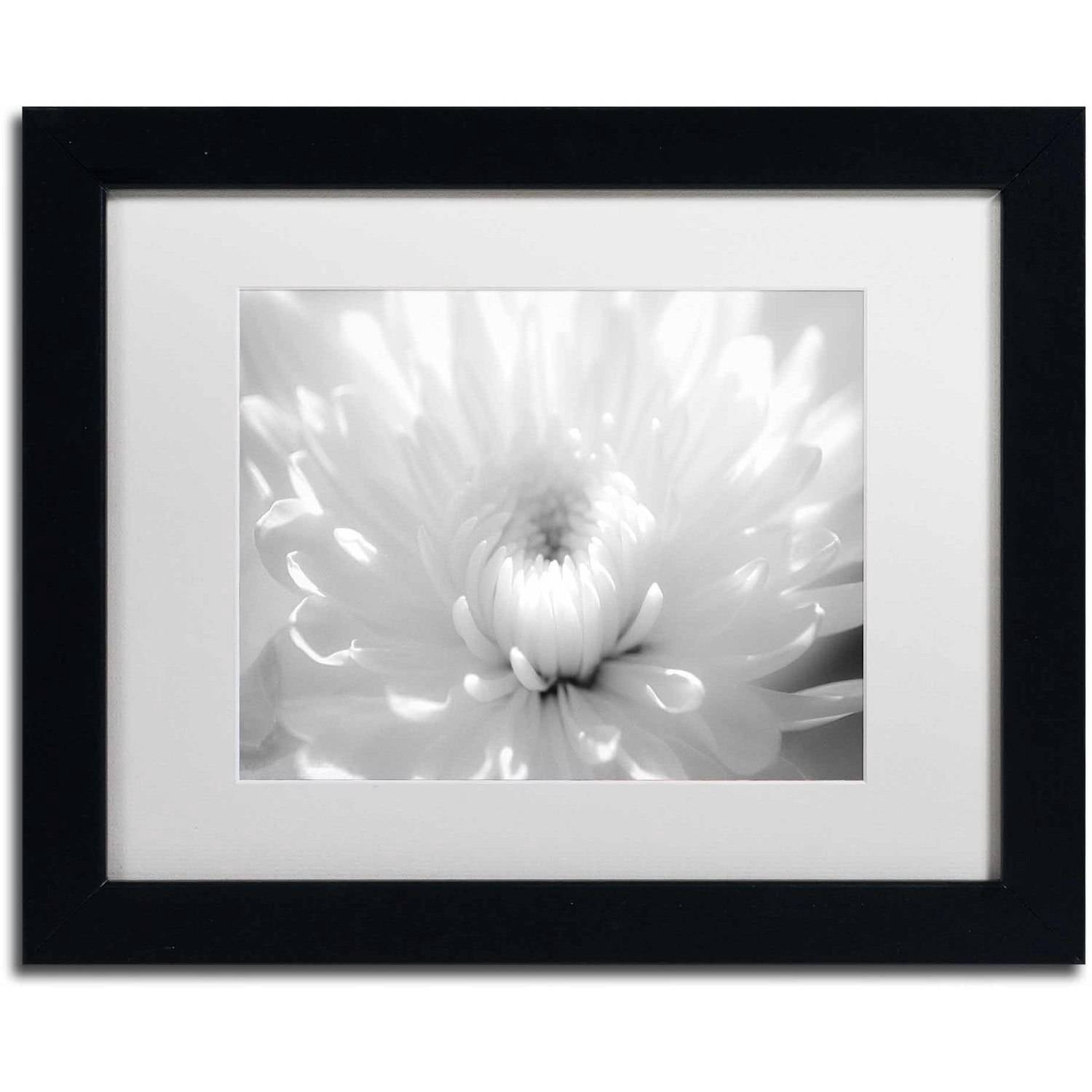 Trademark Fine Art 'Infrared Flower 2' Canvas Art by PIPA Fine Art, White Matte, Black Frame