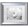 thumbnail image 1 of Trademark Fine Art 'Infrared Flower 2' Canvas Art by PIPA Fine Art, White Matte, Silver Frame, 1 of 4