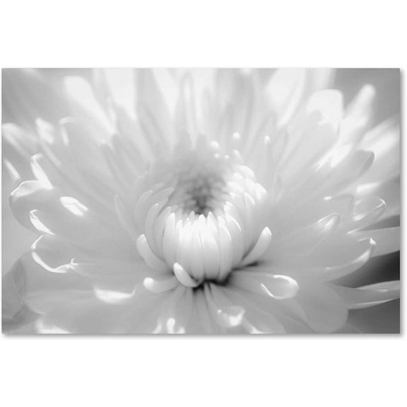 Trademark Fine Art 'Infrared Flower 2' Canvas Art by PIPA Fine Art
