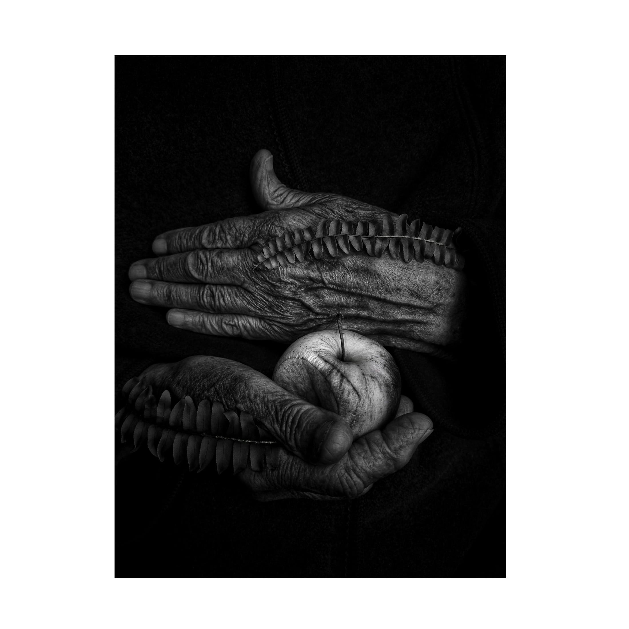 Trademark Fine Art Ingrida Urbonavi?ien?  A wound Canvas Wall Art