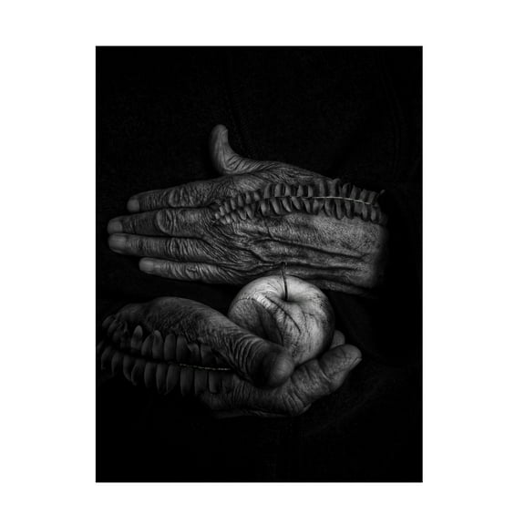 Trademark Fine Art Ingrida Urbonavi?ien?  A wound Canvas Wall Art