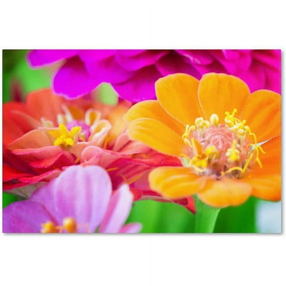 Trademark Fine Art "Inias" Canvas Art by Philippe Sainte-Laudy