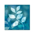thumbnail image 1 of Trademark Fine Art 'Ink Leaves II' Canvas Art by Sue Schlabach, 1 of 3