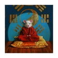 thumbnail image 1 of Trademark Fine Art 'Inner Peace Mouse' Canvas Art by Lucia Hefferna, 1 of 3