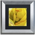 thumbnail image 1 of Trademark Fine Art "Inside a Beautiful Tulip" Canvas Art by Kurt Shaffer, Black Matte, Silver Frame, 1 of 4