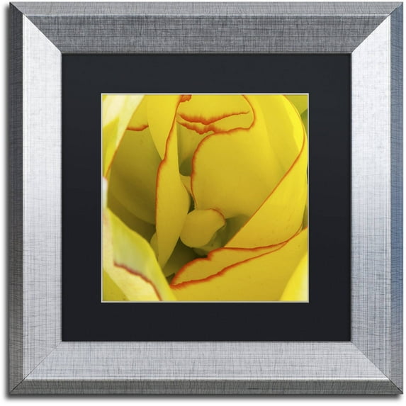 Trademark Fine Art "Inside a Beautiful Tulip" Canvas Art by Kurt Shaffer, Black Matte, Silver Frame