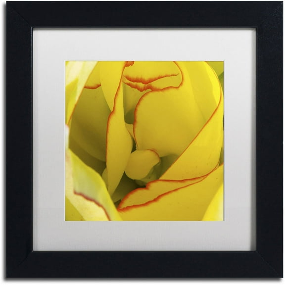 Trademark Fine Art "Inside a Beautiful Tulip" Canvas Art by Kurt Shaffer, White Matte, Black Frame