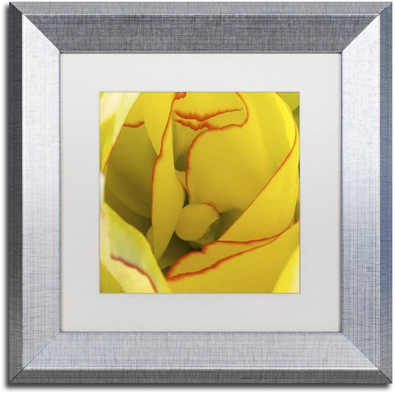 Trademark Fine Art "Inside a Beautiful Tulip" Canvas Art by Kurt Shaffer, White Matte, Silver Frame