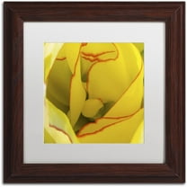 Trademark Fine Art "Inside a Beautiful Tulip" Canvas Art by Kurt Shaffer, White Matte, Wood Frame