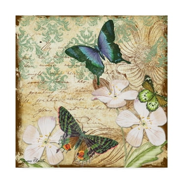 Trademark Fine Art 'Inspirational Butterflies 1' Canvas Art by Jean Plout