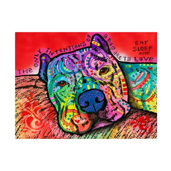Trademark Fine Art Dean Russo Intentions Canvas Wall Art - 18x24