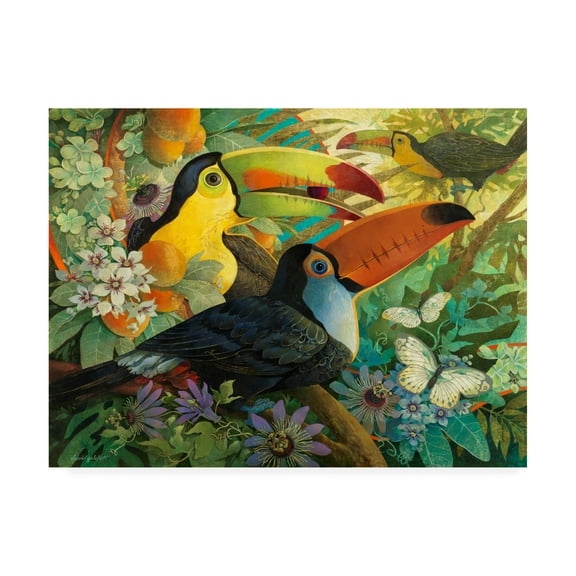 Trademark Fine Art 'Interlude Toucans' Canvas Art by David Galchutt