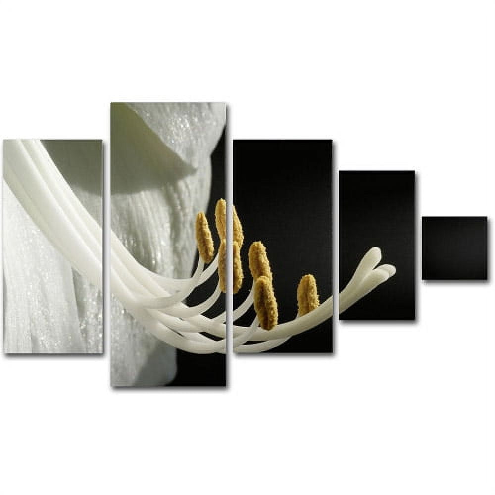 Trademark Fine Art "Intimate Amaryllis" Canvas Art Set by Kurt Shaffer, 5pc Panel Set, 58" x 34"