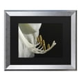thumbnail image 1 of Trademark Fine Art 'Intimate Amaryllis' Canvas Art by Kurt Shaffer, 1 of 4